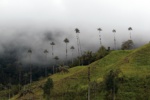Das Cocora Tal in Kolumbien<br />Quelle: INTERCONTACT/Neptuno Das Cocora Tal in Kolumbien - Quelle: INTERCONTACT/Neptuno