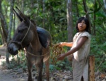 weitere Indigenas bei Santa Marta<br />Quelle: INTERCONTACT/Neptuno weitere Indigenas bei Santa Marta - Quelle: INTERCONTACT/Neptuno
